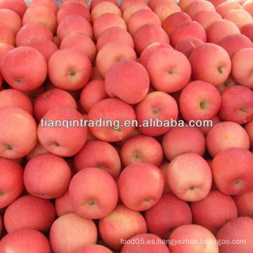 Precio de manzana fuji en china